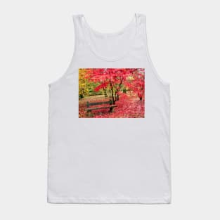 Fallen autumn leaves in the Cotswolds Tank Top